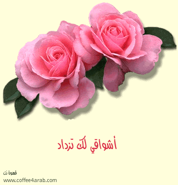 pour toi ...............